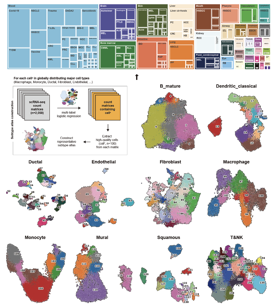 Data warehouse image 1
