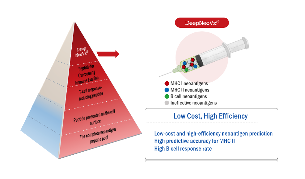 DeepNeo System image 2